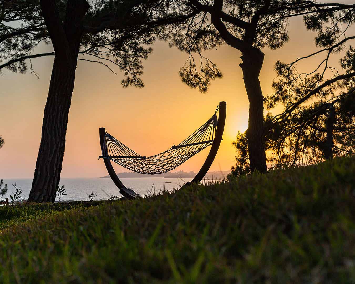 Gün batımında deniz kenarında ağaçların altındaki hamak